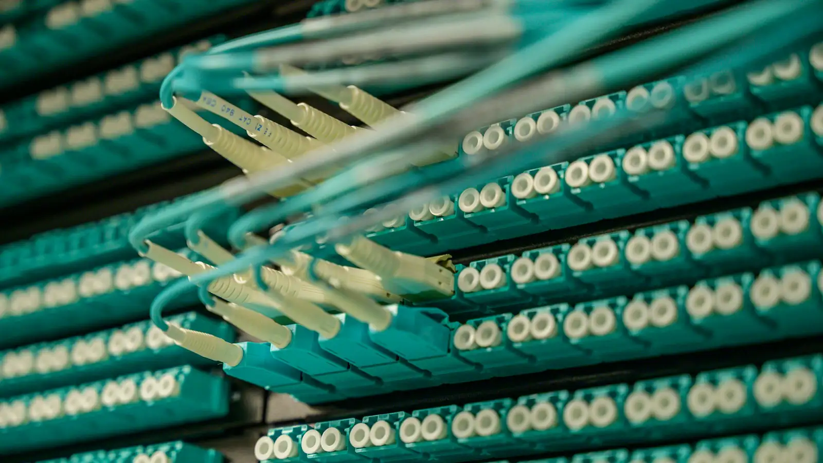 Close-up of organized network cables in a server rack